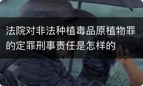 法院对非法种植毒品原植物罪的定罪刑事责任是怎样的