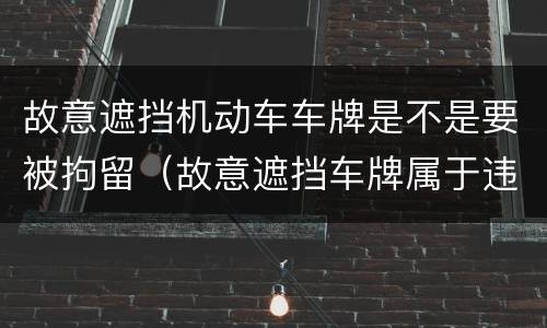 故意遮挡机动车车牌是不是要被拘留（故意遮挡车牌属于违法行为吗）