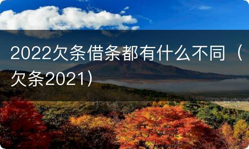 2022欠条借条都有什么不同（欠条2021）