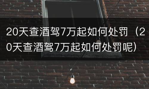 20天查酒驾7万起如何处罚（20天查酒驾7万起如何处罚呢）