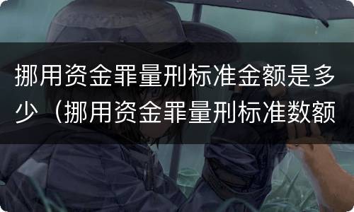 挪用资金罪量刑标准金额是多少（挪用资金罪量刑标准数额巨大）