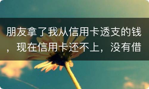 朋友拿了我从信用卡透支的钱，现在信用卡还不上，没有借条和证据能告吗