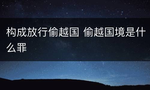 构成放行偷越国 偷越国境是什么罪