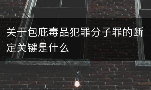 关于包庇毒品犯罪分子罪的断定关键是什么