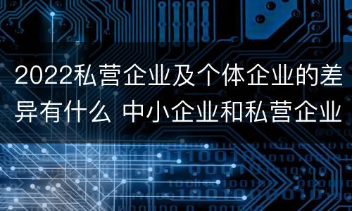 2022私营企业及个体企业的差异有什么 中小企业和私营企业区别