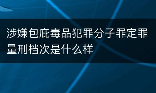 涉嫌包庇毒品犯罪分子罪定罪量刑档次是什么样