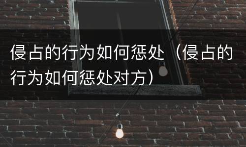 侵占的行为如何惩处（侵占的行为如何惩处对方）