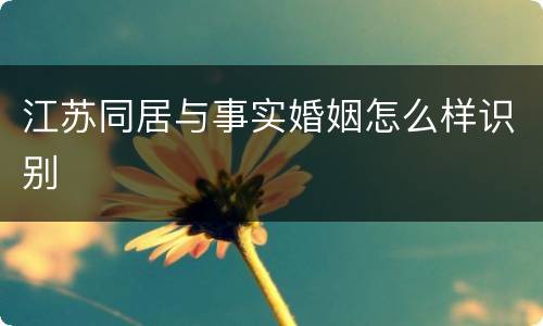 江苏同居与事实婚姻怎么样识别