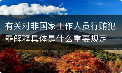 有关对非国家工作人员行贿犯罪解释具体是什么重要规定
