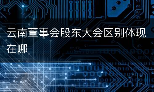 云南董事会股东大会区别体现在哪
