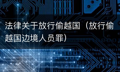 法律关于放行偷越国（放行偷越国边境人员罪）