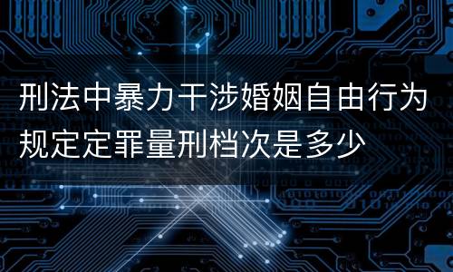 刑法中暴力干涉婚姻自由行为规定定罪量刑档次是多少