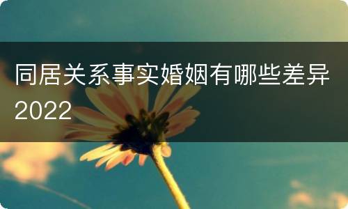 同居关系事实婚姻有哪些差异2022