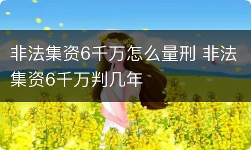 非法集资6千万怎么量刑 非法集资6千万判几年