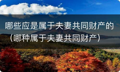 哪些应是属于夫妻共同财产的（哪种属于夫妻共同财产）