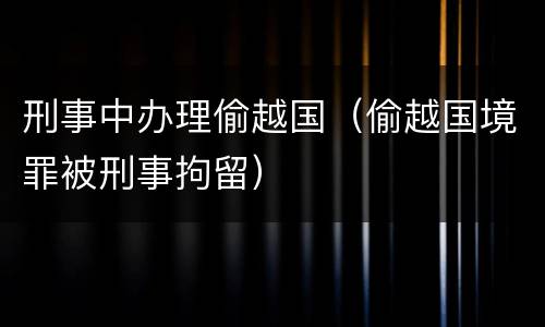 刑事中办理偷越国（偷越国境罪被刑事拘留）