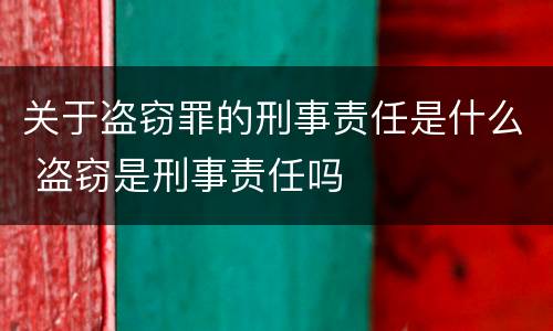关于盗窃罪的刑事责任是什么 盗窃是刑事责任吗