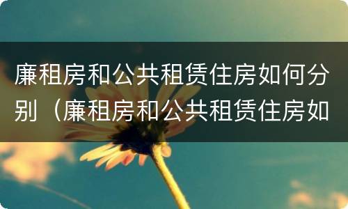 廉租房和公共租赁住房如何分别（廉租房和公共租赁住房如何分别使用）