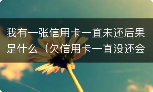 我有一张信用卡一直未还后果是什么（欠信用卡一直没还会怎么样）