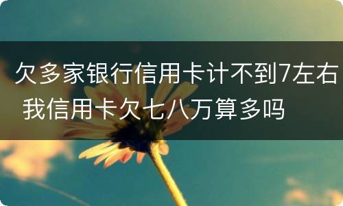 欠多家银行信用卡计不到7左右 我信用卡欠七八万算多吗