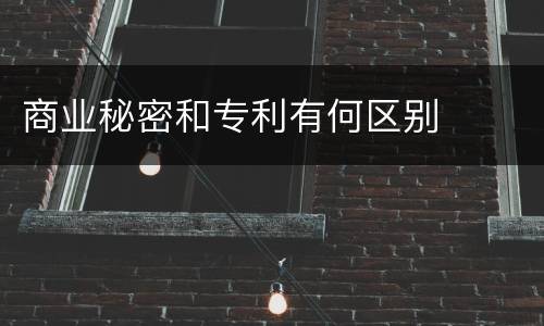 商业秘密和专利有何区别