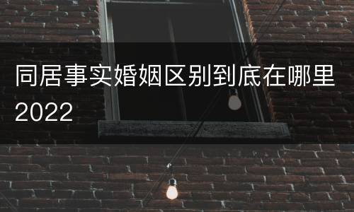 同居事实婚姻区别到底在哪里2022