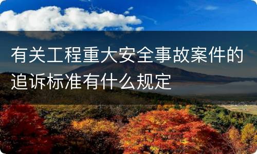 有关工程重大安全事故案件的追诉标准有什么规定