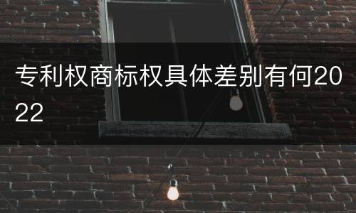 专利权商标权具体差别有何2022