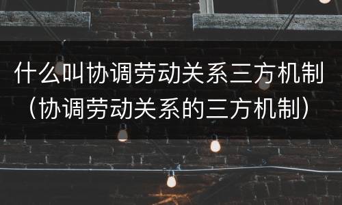 什么叫协调劳动关系三方机制（协调劳动关系的三方机制）
