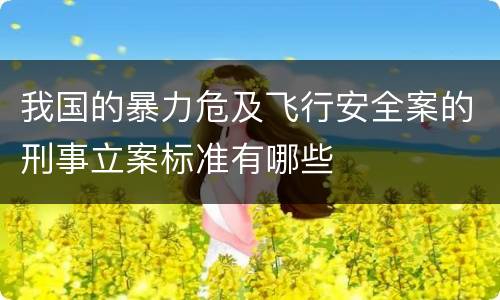 我国的暴力危及飞行安全案的刑事立案标准有哪些