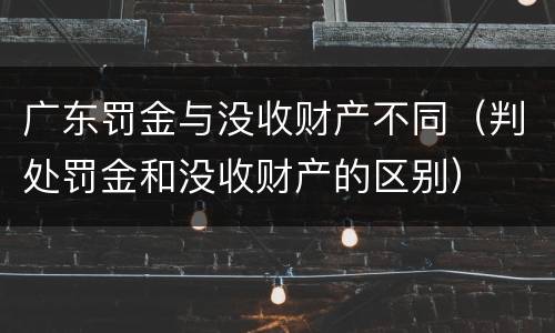 广东罚金与没收财产不同（判处罚金和没收财产的区别）