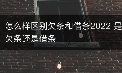 怎么样区别欠条和借条2022 是欠条还是借条