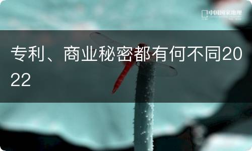 专利、商业秘密都有何不同2022