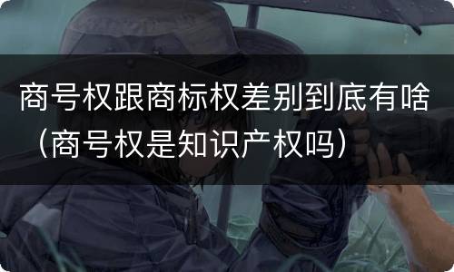 商号权跟商标权差别到底有啥（商号权是知识产权吗）