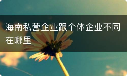 海南私营企业跟个体企业不同在哪里