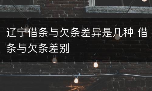 辽宁借条与欠条差异是几种 借条与欠条差别