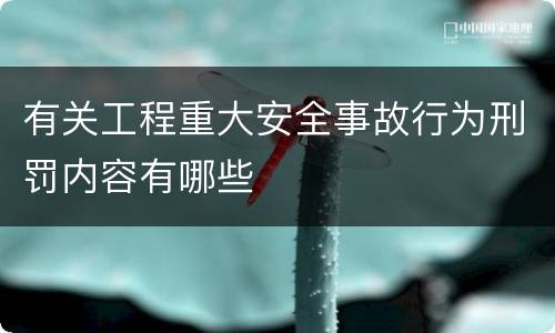 有关工程重大安全事故行为刑罚内容有哪些