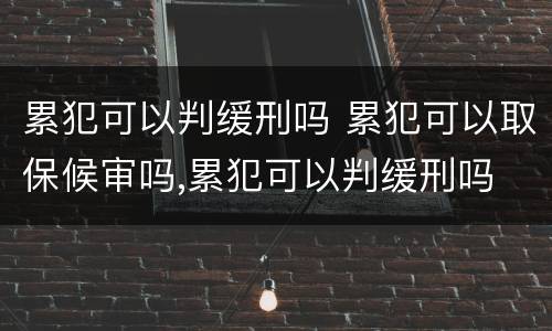 累犯可以判缓刑吗 累犯可以取保候审吗,累犯可以判缓刑吗