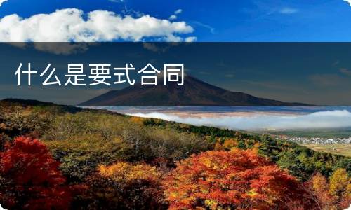 什么是要式合同