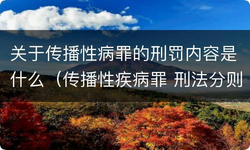 关于传播性病罪的刑罚内容是什么（传播性疾病罪 刑法分则）