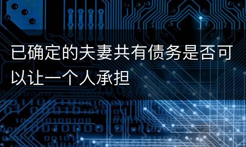 已确定的夫妻共有债务是否可以让一个人承担