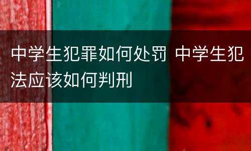 中学生犯罪如何处罚 中学生犯法应该如何判刑