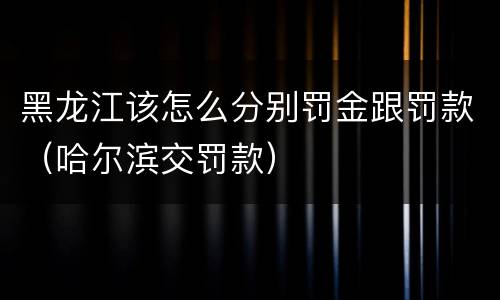 黑龙江该怎么分别罚金跟罚款（哈尔滨交罚款）