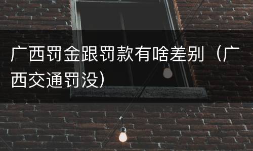 广西罚金跟罚款有啥差别（广西交通罚没）