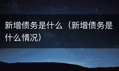 新增债务是什么（新增债务是什么情况）