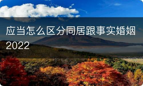 应当怎么区分同居跟事实婚姻2022