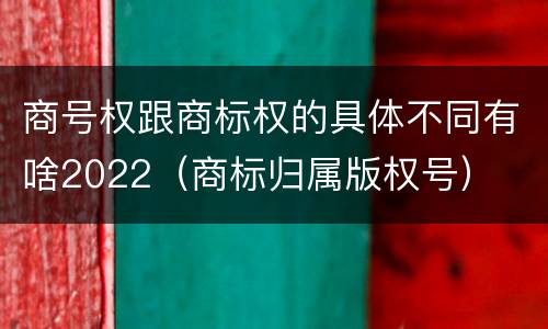 商号权跟商标权的具体不同有啥2022（商标归属版权号）