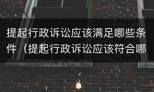 提起行政诉讼应该满足哪些条件（提起行政诉讼应该符合哪些条件）