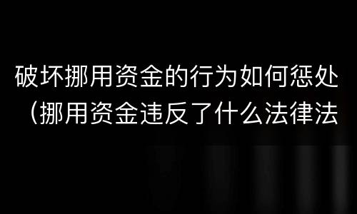 破坏挪用资金的行为如何惩处（挪用资金违反了什么法律法规）