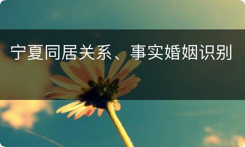 宁夏同居关系、事实婚姻识别